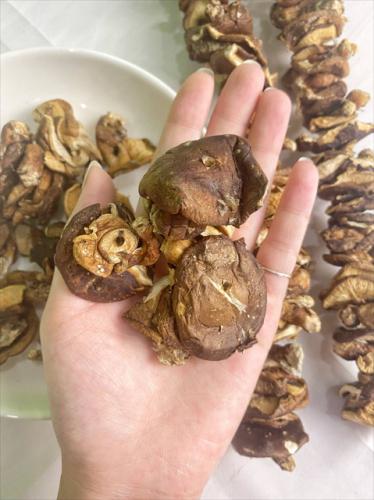 Nấm Hương Rừng Điện Biên (250g) 12 f0e18cf7 2e4e 4346 8e82 3684d3dbea66 1