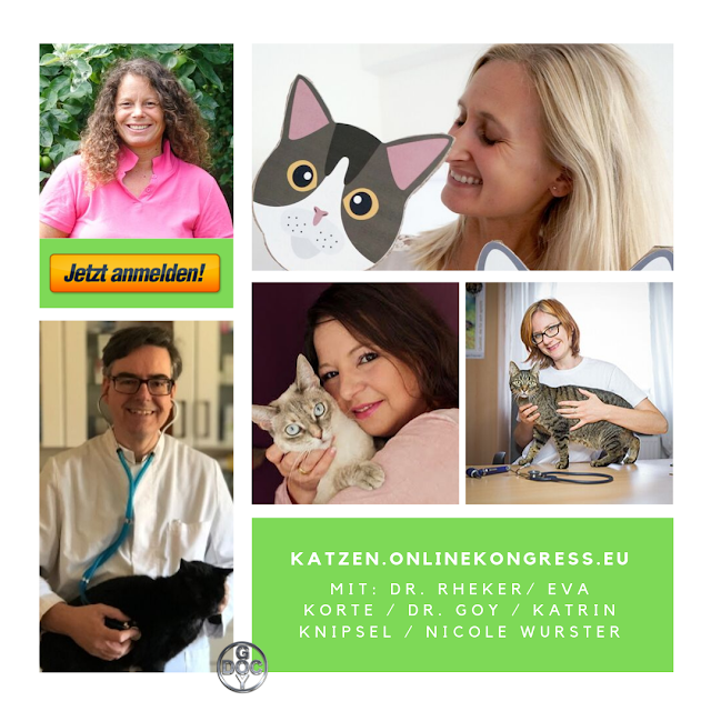 Was Tut Sich Bei Isabella Uk Kreativ Isaac Kongress In Dortmund 2013