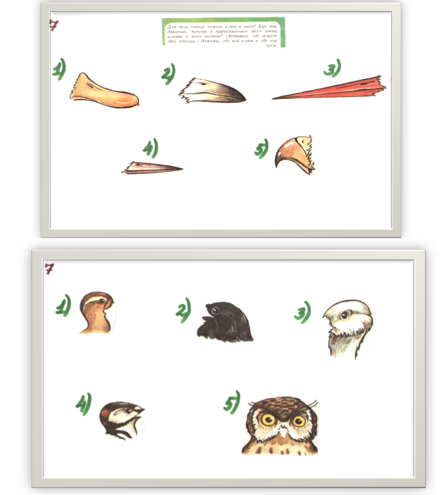 вопросы по зоологии с ответами