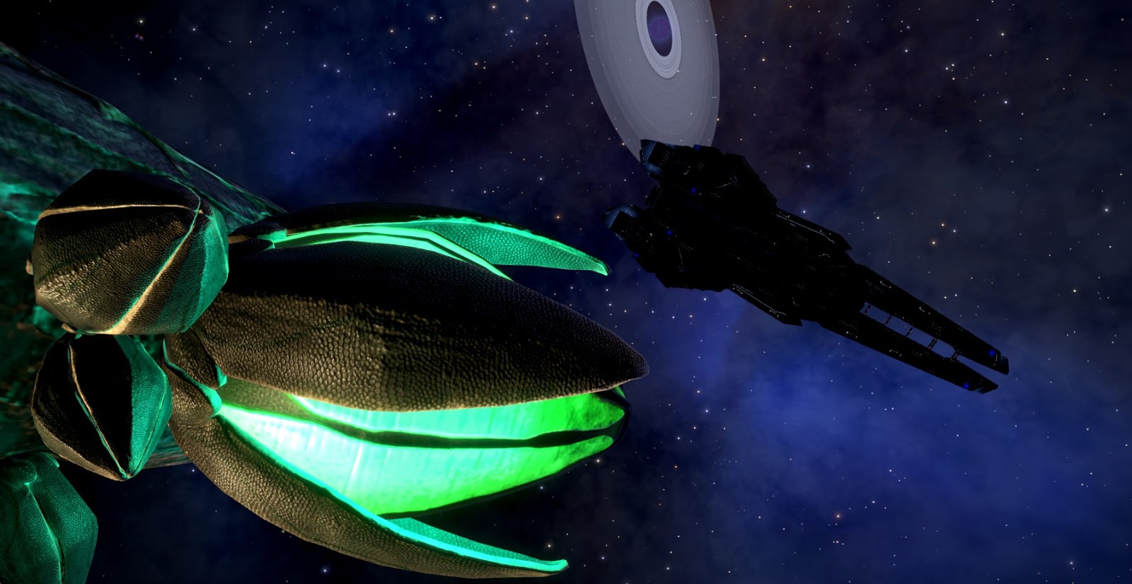 5_merope_farragut6.jpg