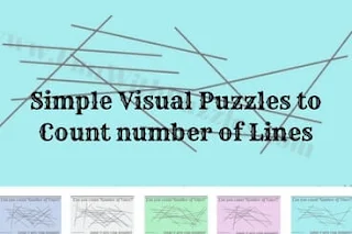 Visual Puzzles: Picture Puzzles and Answers for Adults