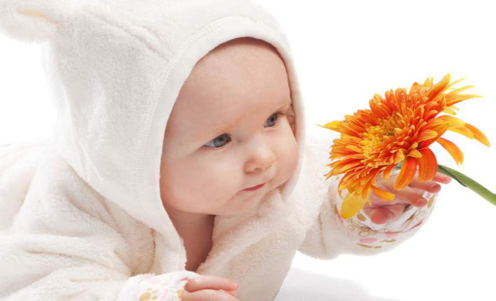 Wallpaper,Wallpapers,Live WallpaperWallpapers Large  Site