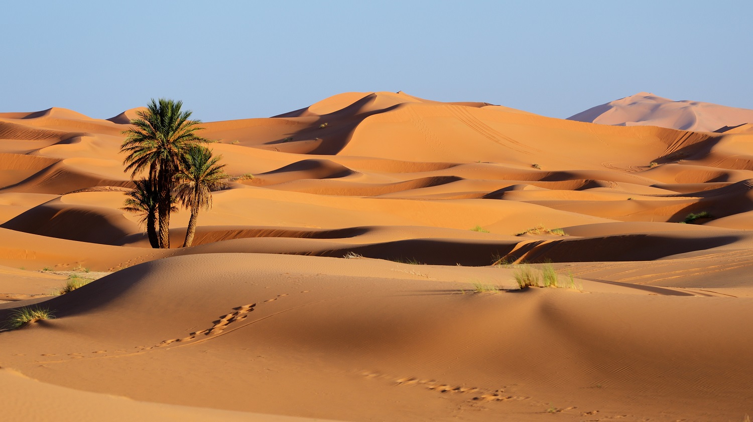 Pourquoi On Utilise Pas Le Sable Du Desert Pour Construire Des Maisons