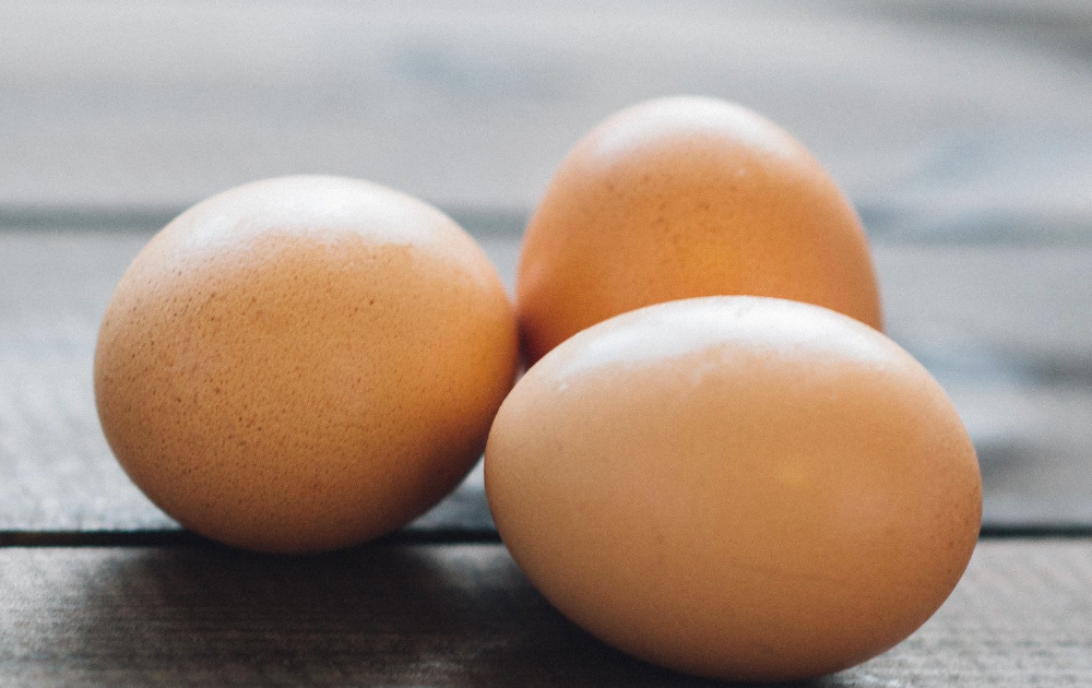 PastureRaised vs Free Range Eggs What's the Difference?