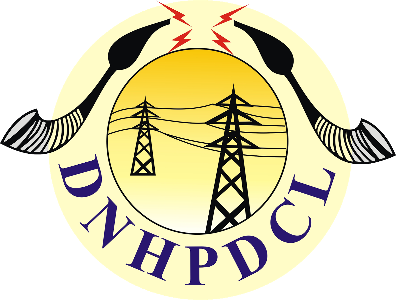 JOB VACANCY DNH Power Distribution Corporation Ltd Hiring Freshers As