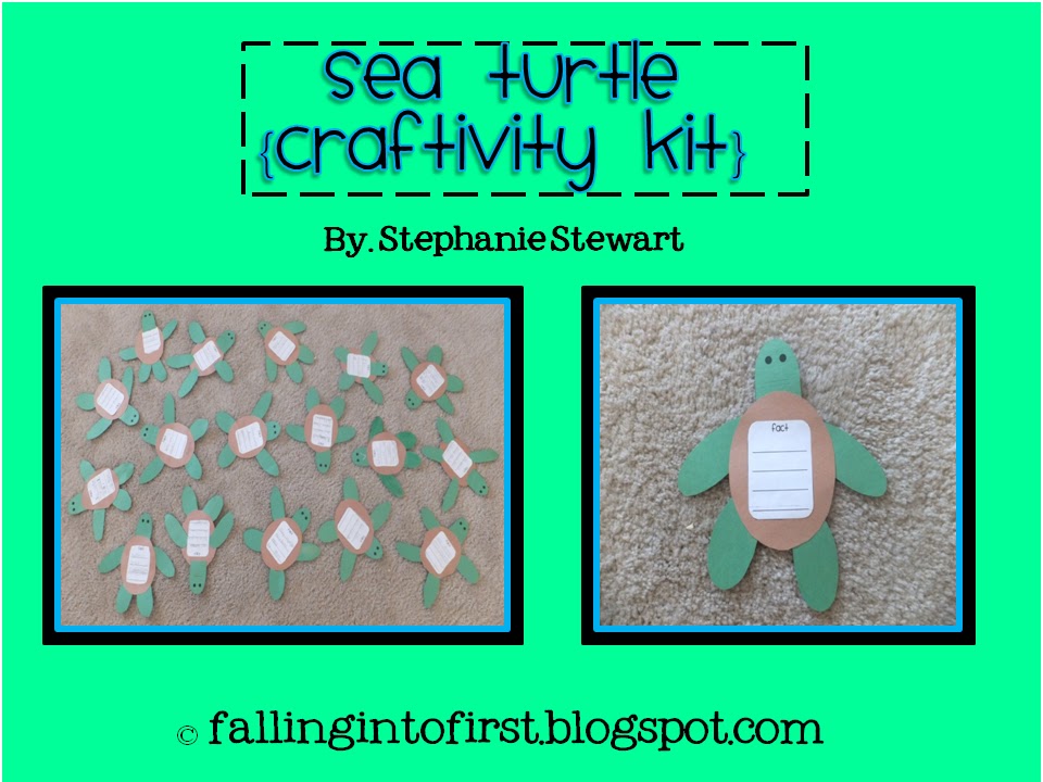 Winners & Baby Sea Turtles | Falling into First