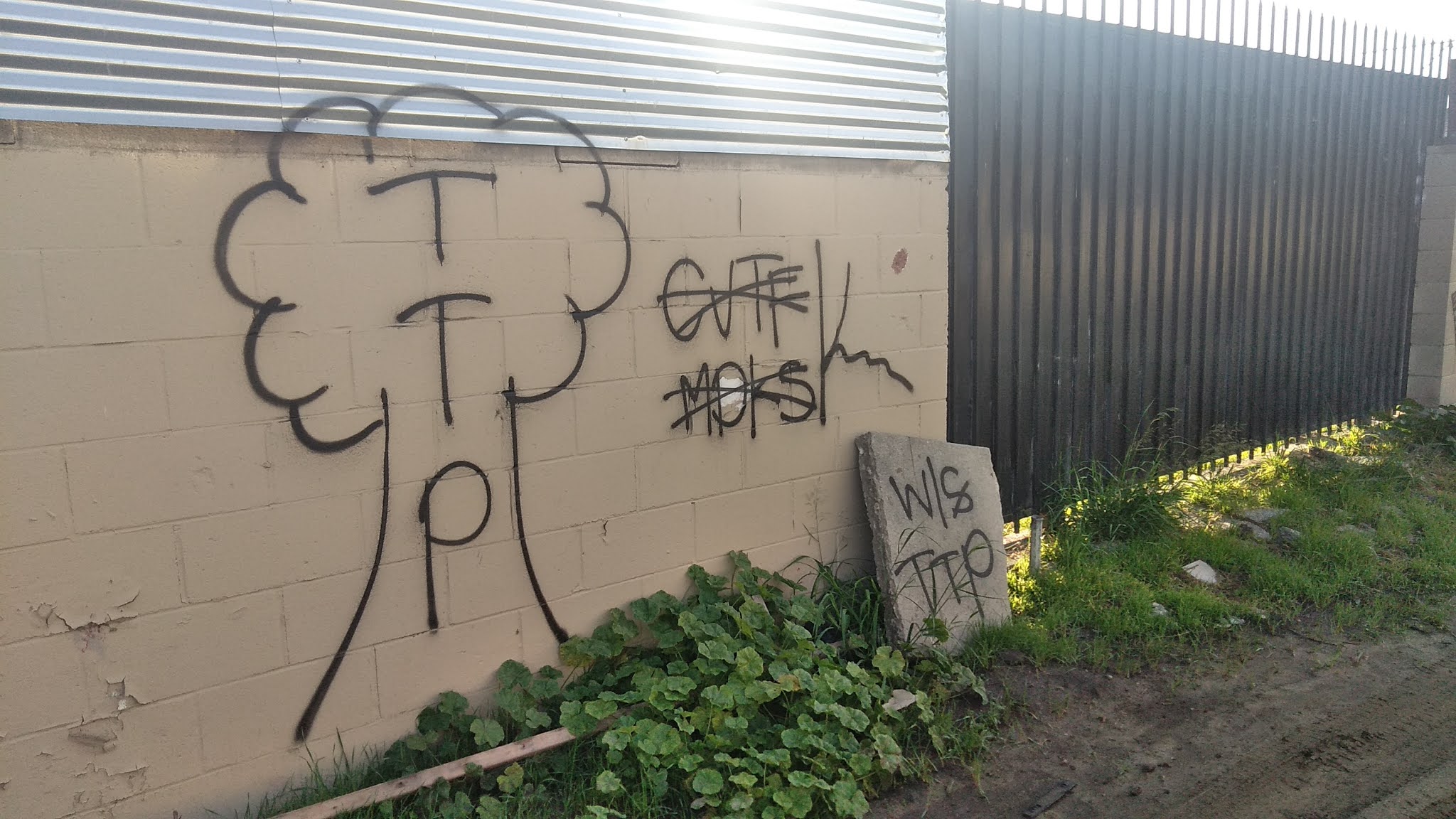 blood piru brims gangs graffiti: Tree top piru ( compton )