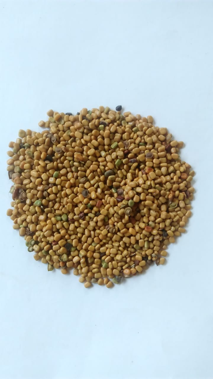 Jual Benih atau Bibit Kehutanan, Palawija, Kacangan LCC