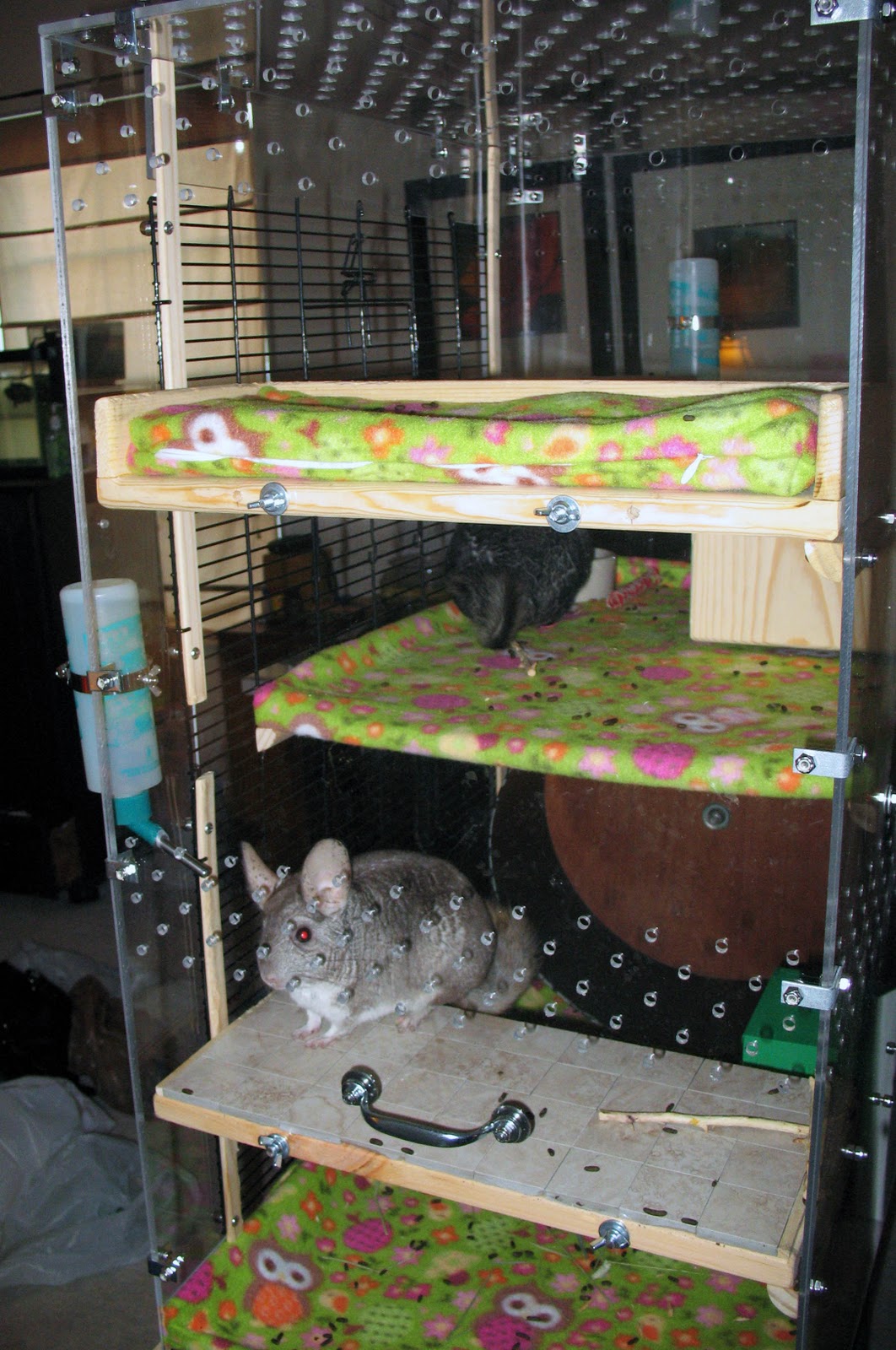 Alexis Miller Design Custom Chinchilla Cage