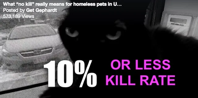 What no-kill means