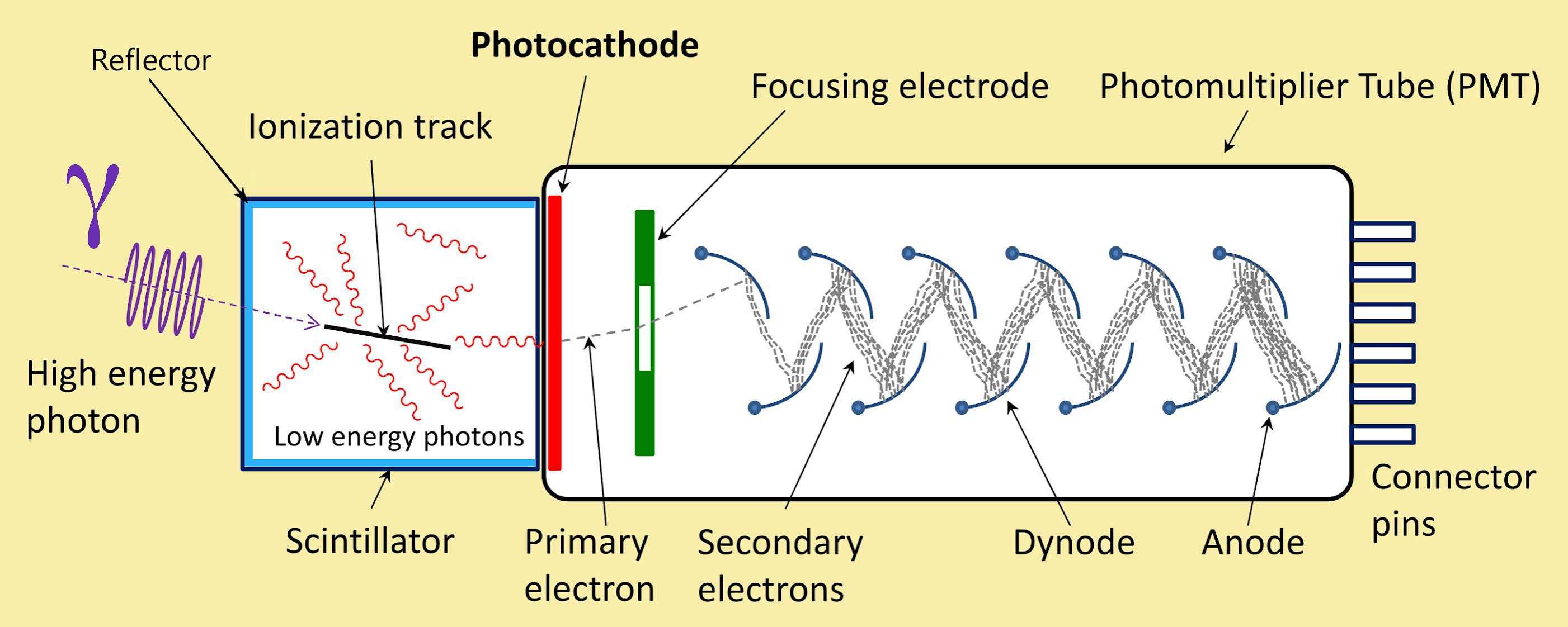AE1S Science and Engineering Blog Scintillation Gamma Spectroscopy Setup