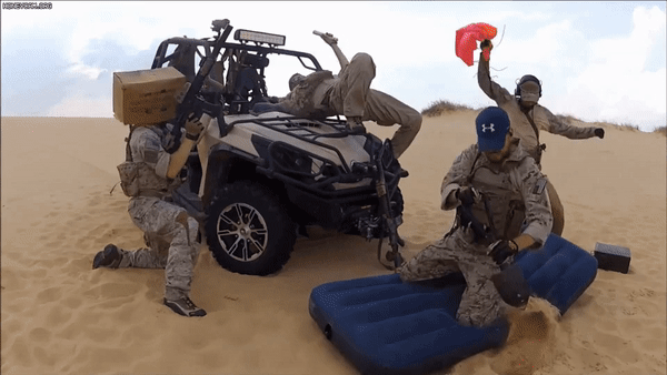 1.gif