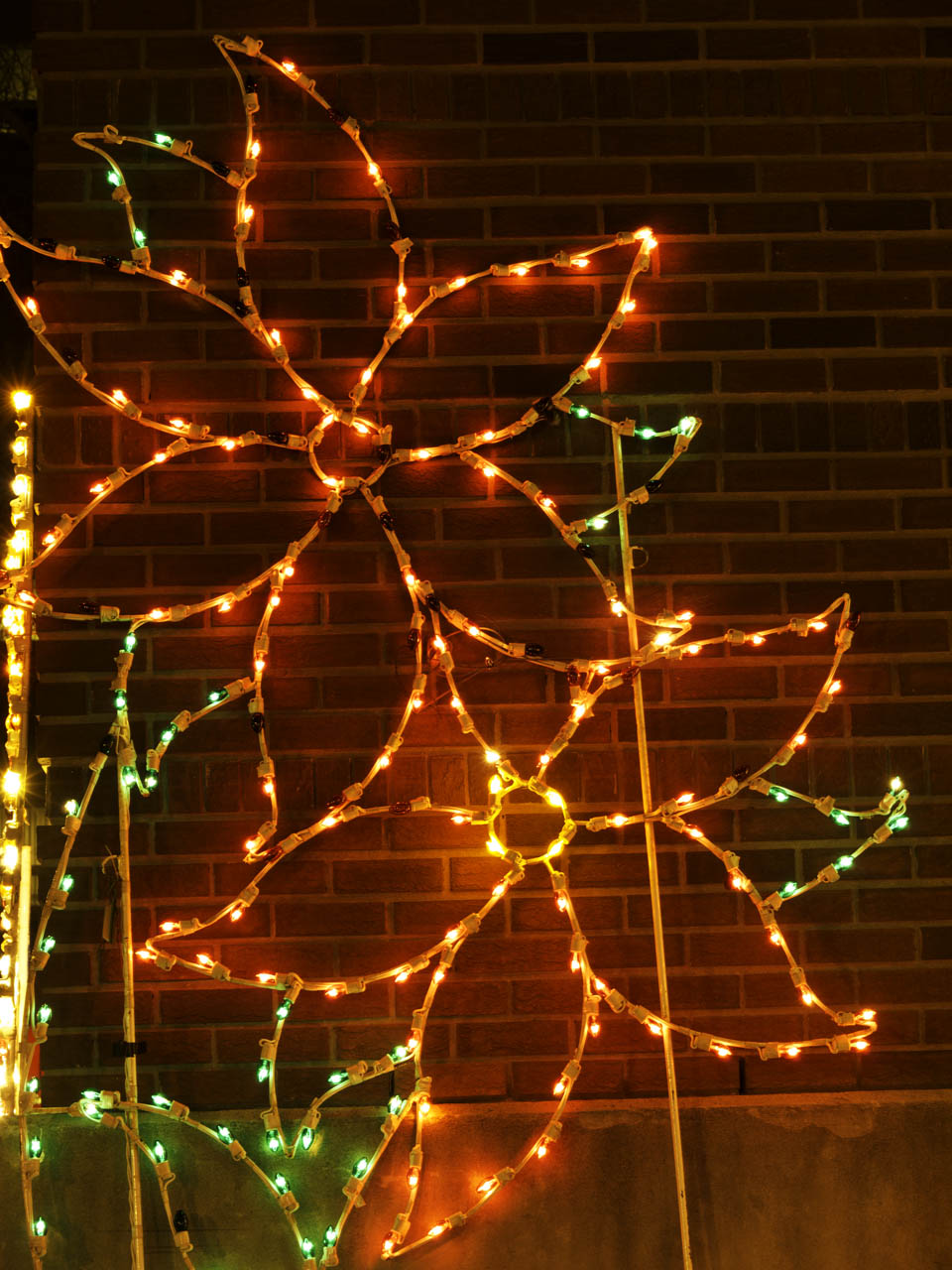 Edmonton Christmas Lights General Hospital Jasper Avenue 112 Street