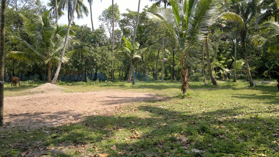 Residential Plot for Sale in Cherthala eRealEstateKerala Property