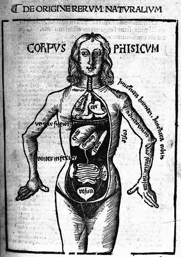 Historien.nes de la santé Écrire l’histoire de la médecine