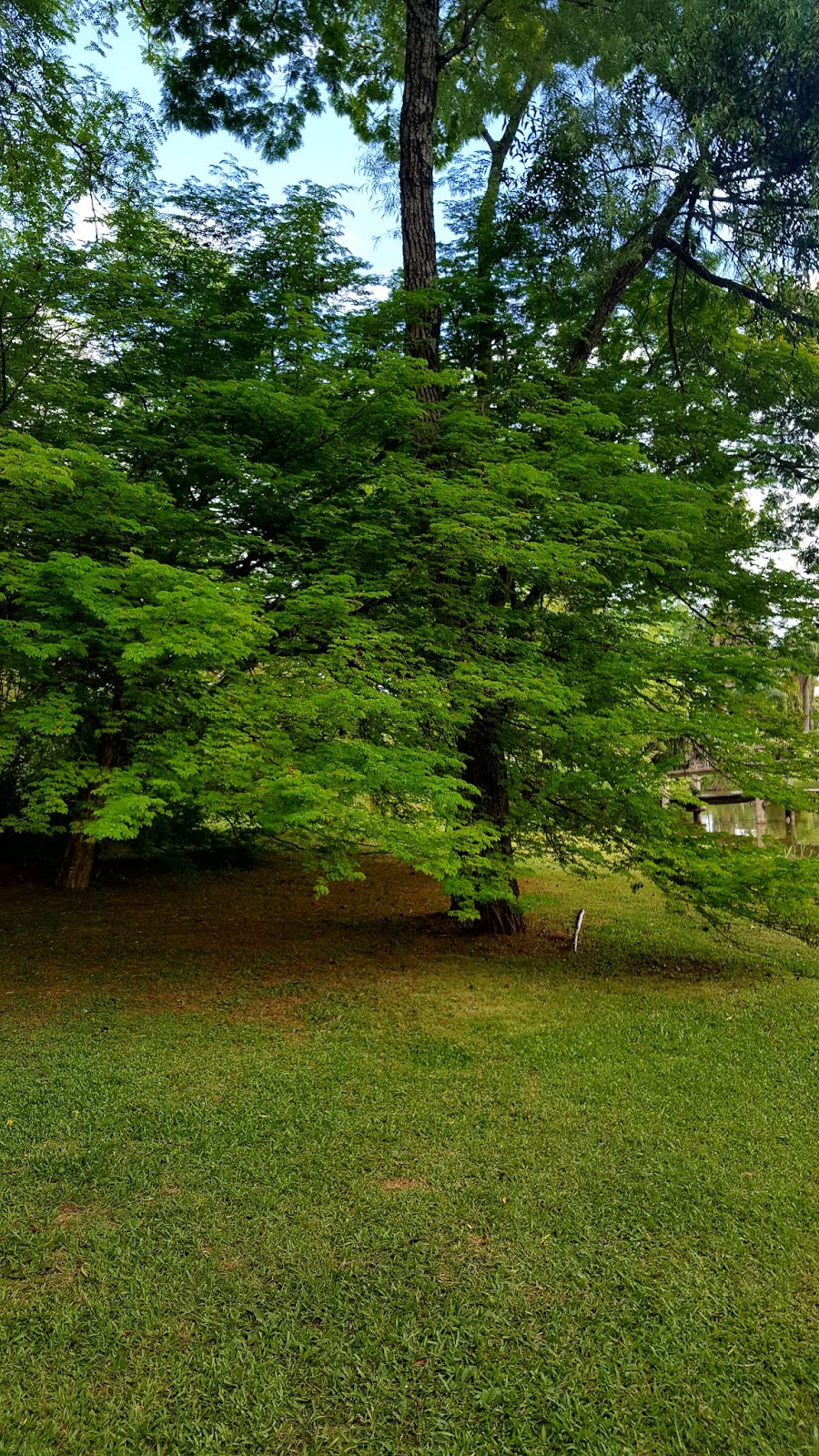 Jardim Botânico Jardim Botânico