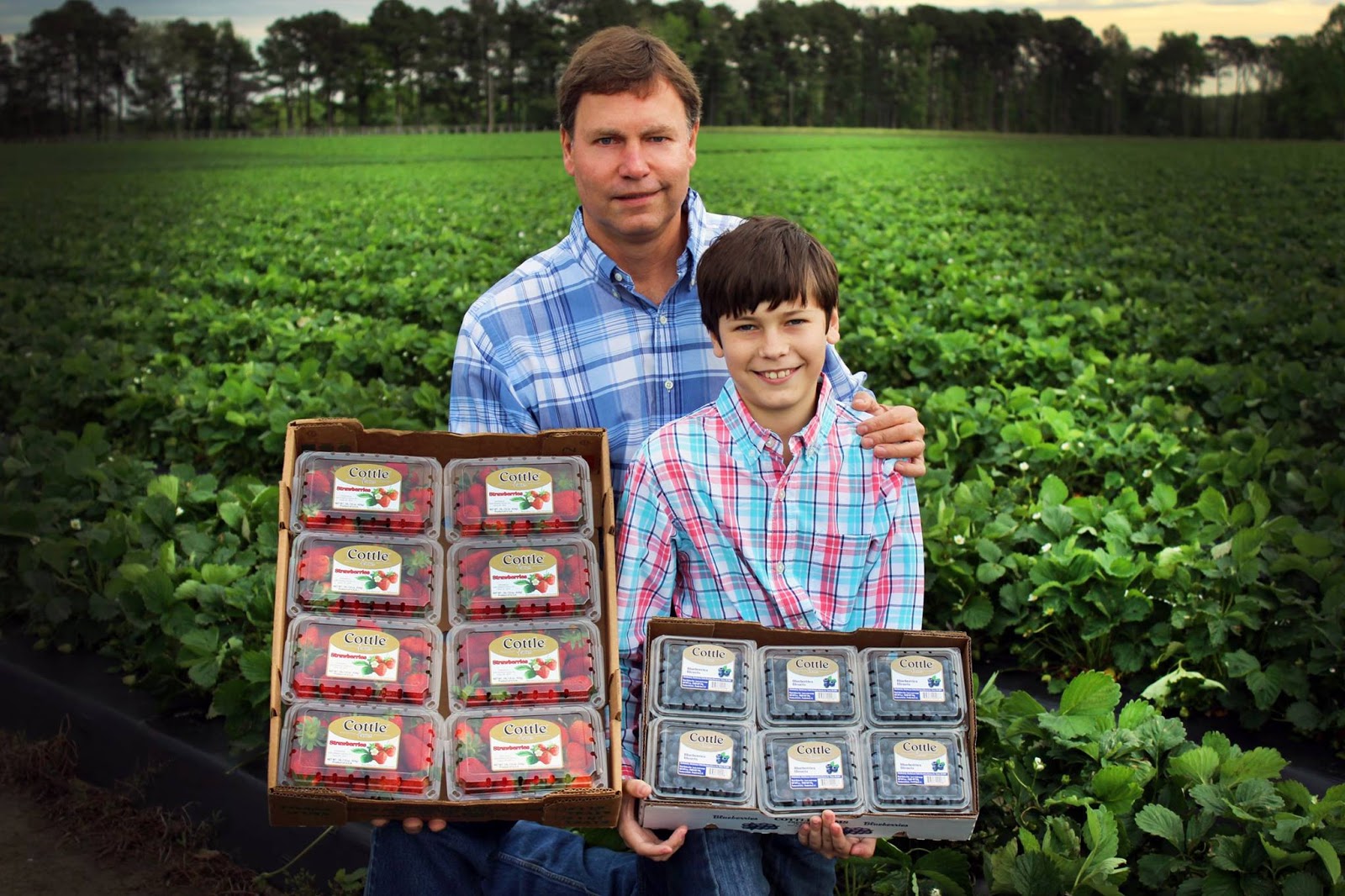 Hibiscus House Spotlight Cottle Farms