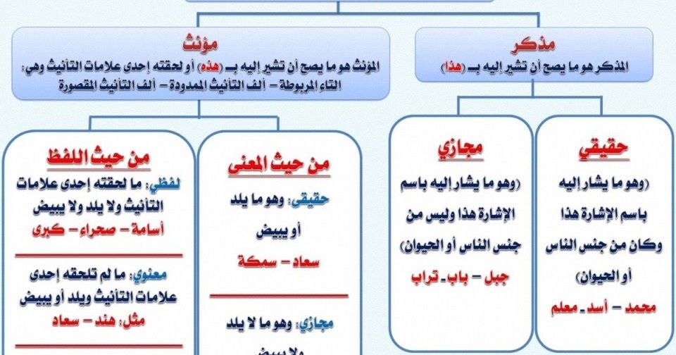 هذه فاطمه مؤنث حقيقي او مجازي