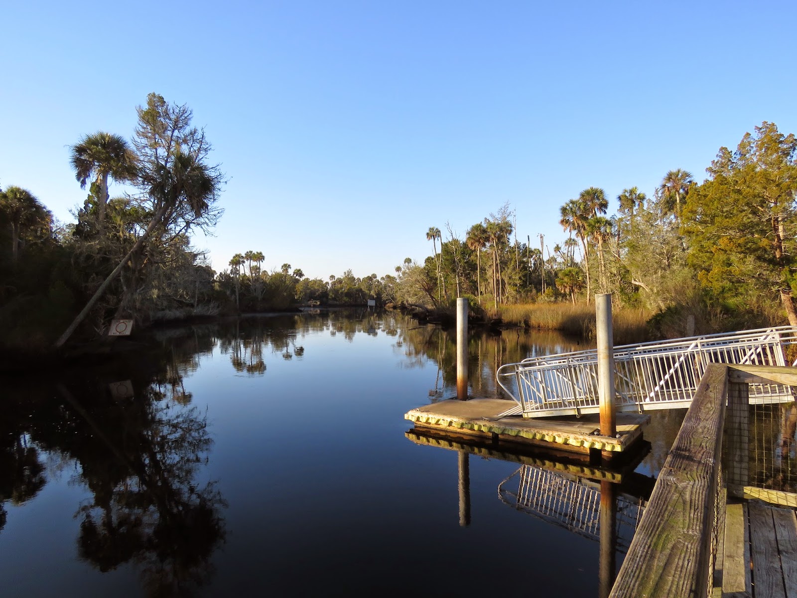 Bob's Gone Birding TaylorMade for Birding (Econfina River State Park)