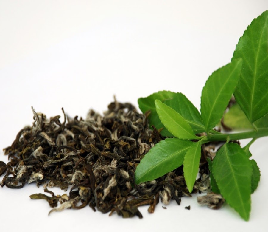Beneficios del té verde, moda y belleza