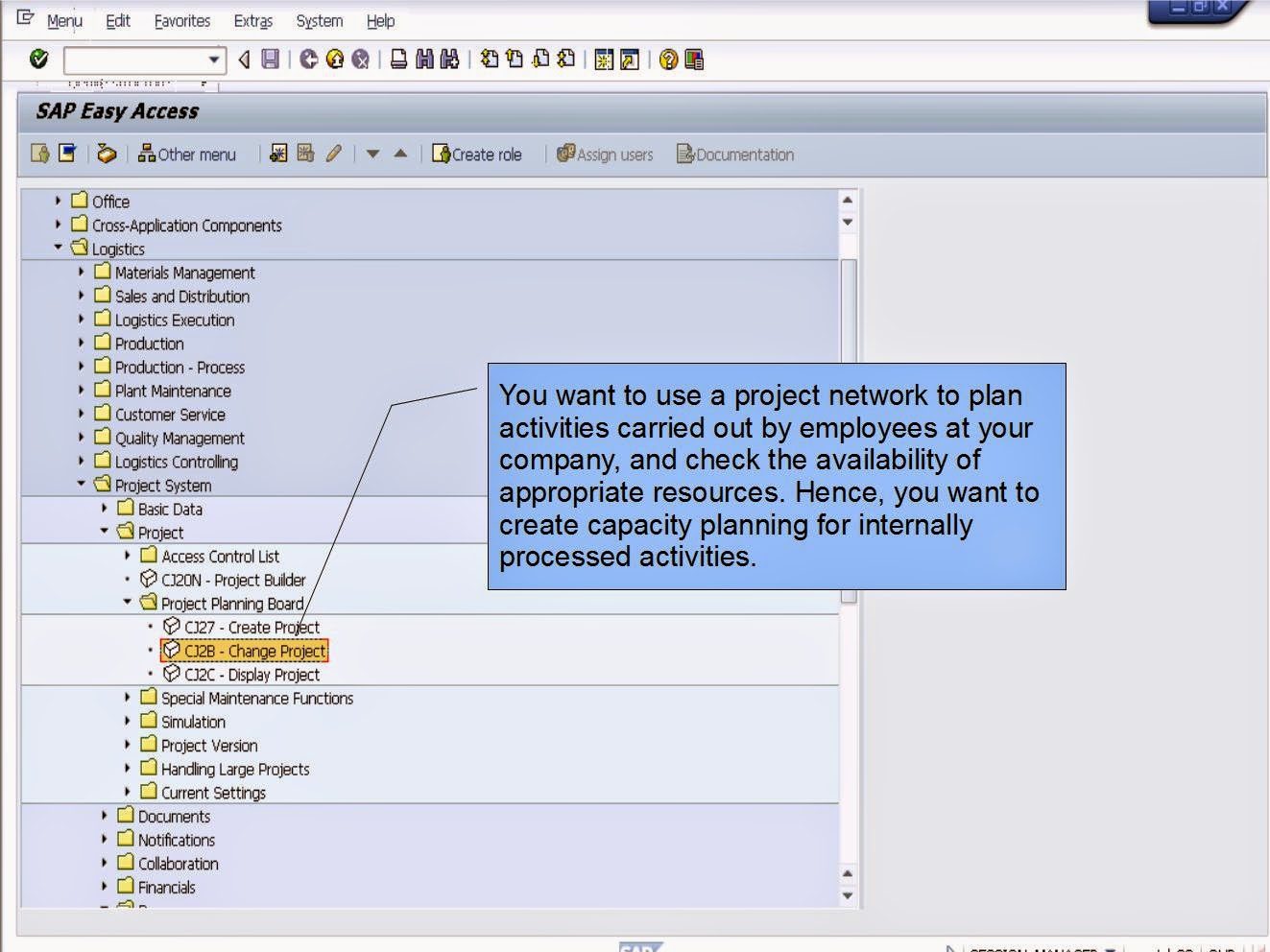 青蛙SAP分享 Froggy's SAP sharing Capacity Requirements of Internal Network