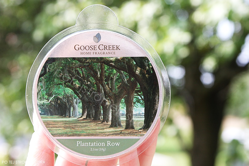 Goose Creek Plantation Row spacer po tajemniczym ogrodzie Po tej