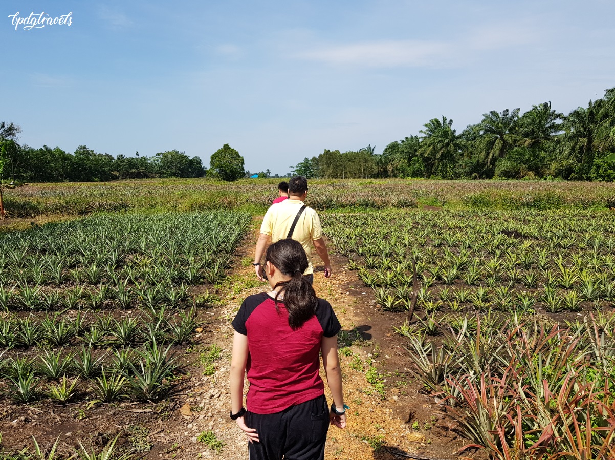 Nictar Symbiosis Farm (黄梨园) Pontian [Johor] BPDGTravels Building