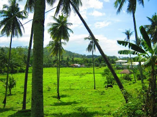 balamban meadows