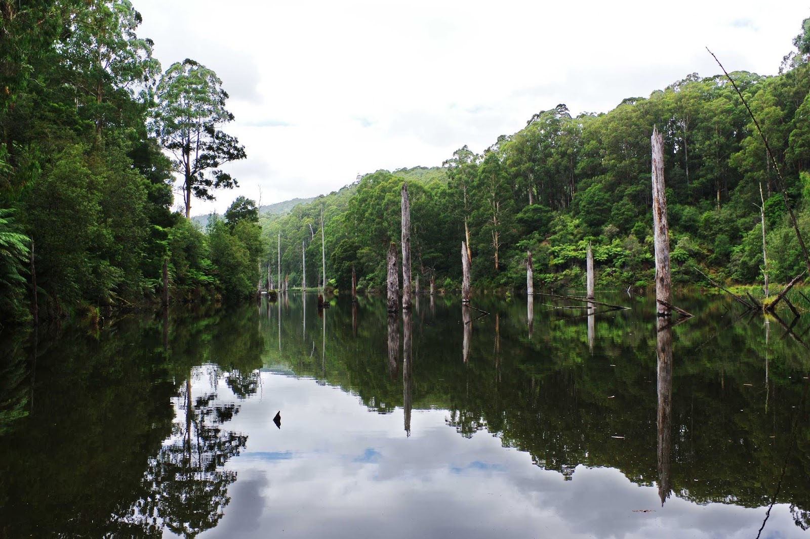 Lake Elizabeth West Melbourne and Beyond