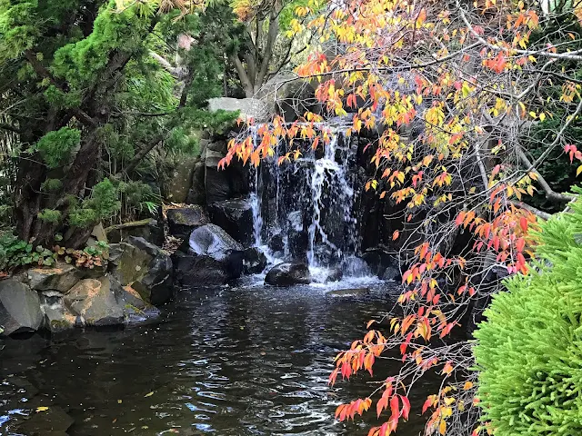 Japanese Garden at the Royal Tasmanian Botanical Gardens