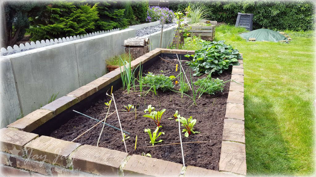 Sternensinn Garten Und Mehr Juli 2017