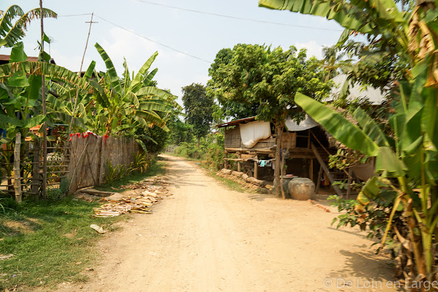 Campagne de Battambang - Cambodge