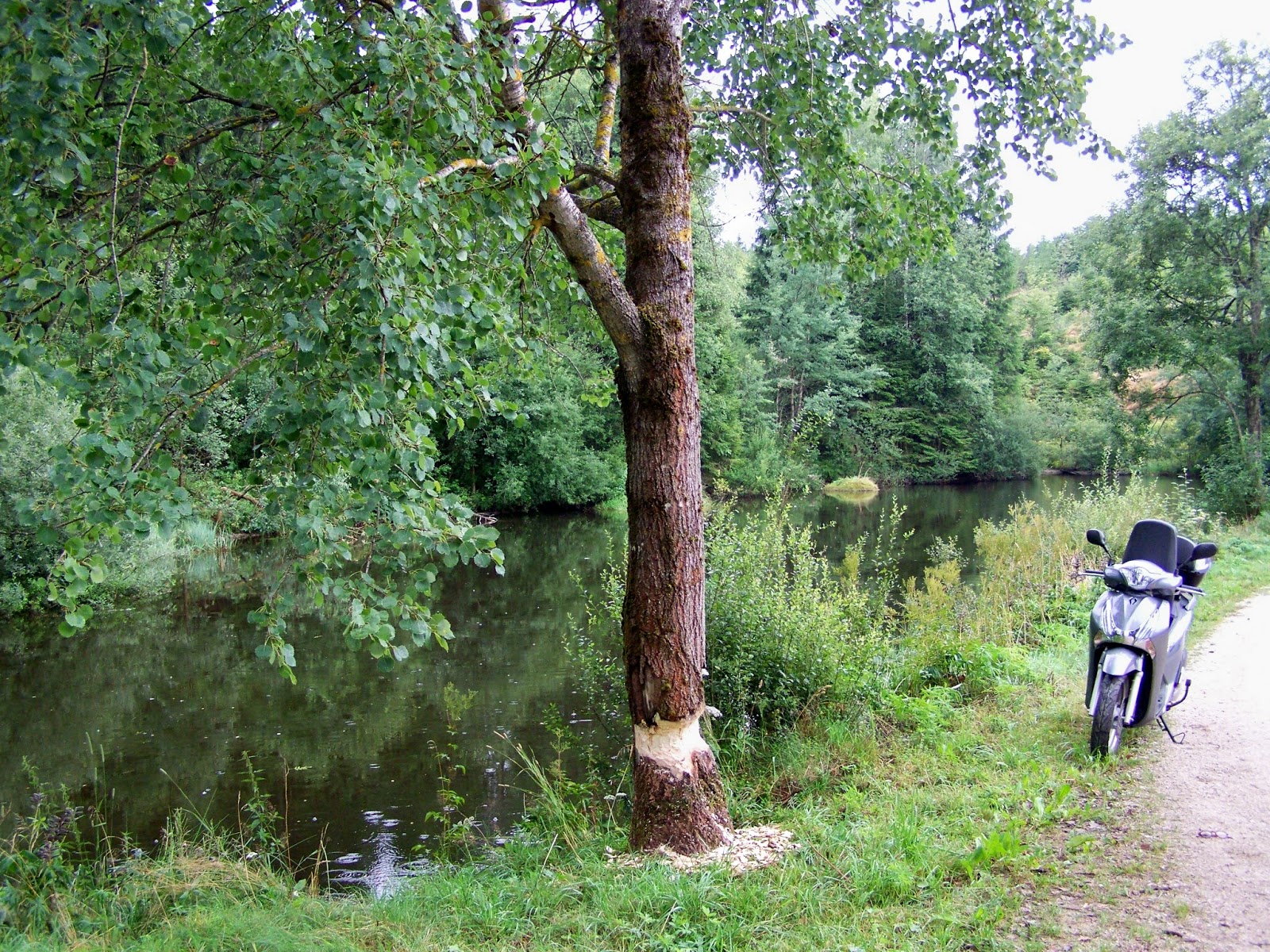 Lebenstage Waldvierteltage August 2017