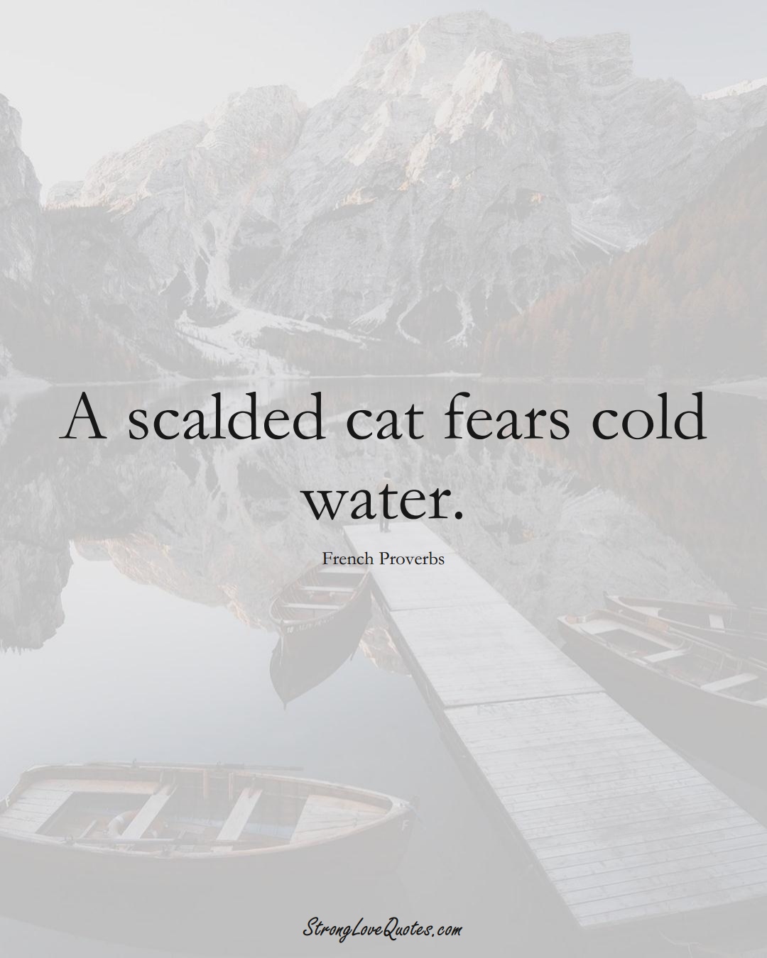 A scalded cat fears cold water. (French Sayings);  #EuropeanSayings