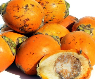 manfaat buah pinang untuk kesehatan dan kecantikan manfaat buah pinang untuk kesehatan dan kecantikan