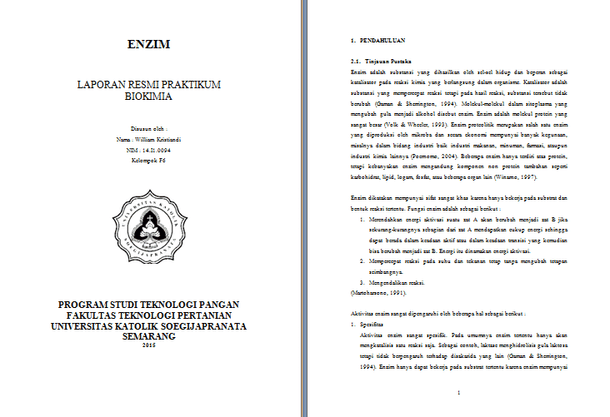 Contoh Makalah Laporan Biokimia Enzim Contoh Makalah Docx