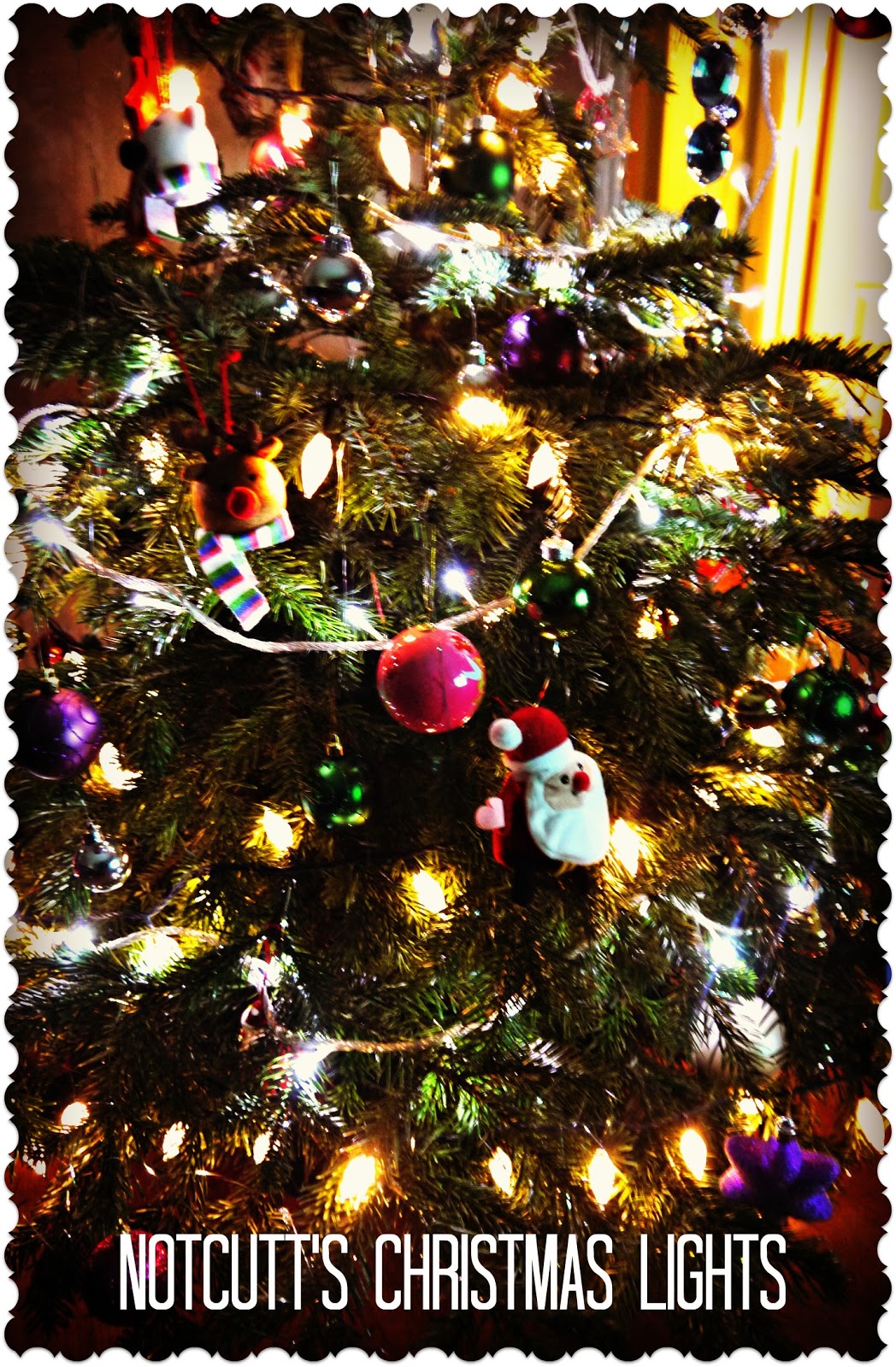 Inside the Wendy House Lighting Up My Christmas with Notcutt's