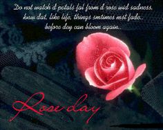 rose day images