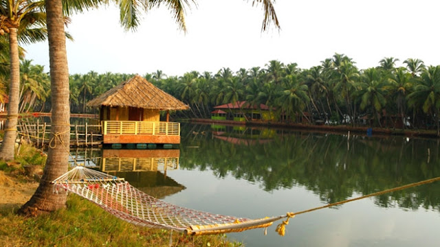 Kerala Tourism - Everything to know about Kerala | Gods Own Country | spend with nature