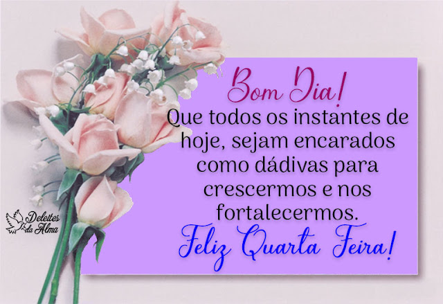 Bom%2Bdia%2Bque%2Btodos%2Bos%2Binstantes