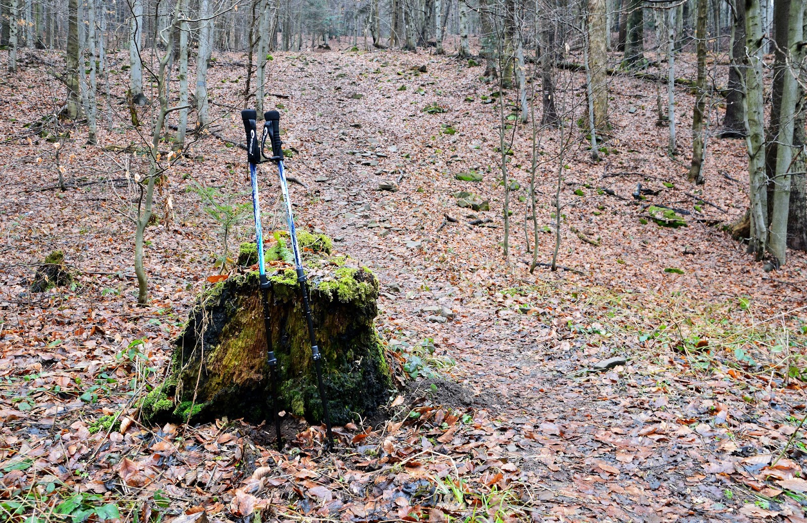 Szlak Kijki Trekking