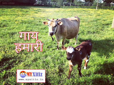 गाय हमारी Cow is our hindi poems poetry kavita balkavita Dr. G. Bhakta