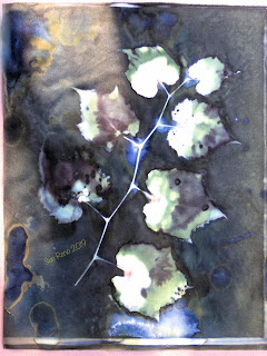 Wet cyanotype -Sue Reno_Image 644