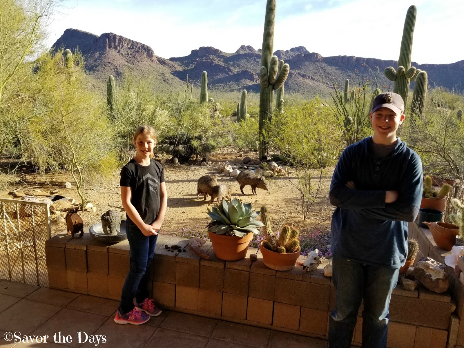 Satw Canada Travelling Teddy Bear Blog Bella Bella And The