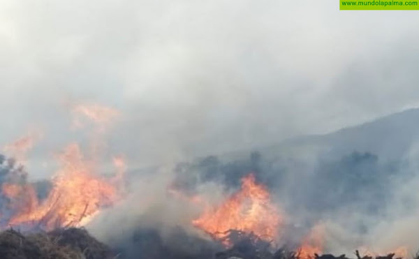 Extinguido un incendio en la La Laguna de Barlovento
