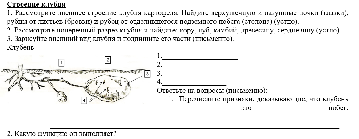 Пересказ биология 5 класс параграф 14