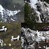 Brazilian soccer team's plane crashes in Colombia; 75 dead