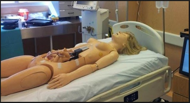 Simulación técnica didáctica