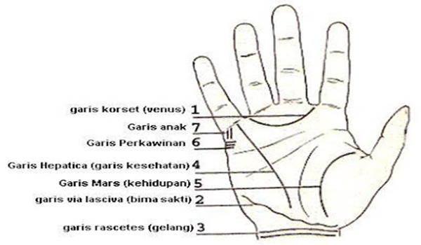 TIPS DAN TRIK MEMBACA GARIS TANGAN TIPS DAN TRIK MEMBACA GARIS TANGAN