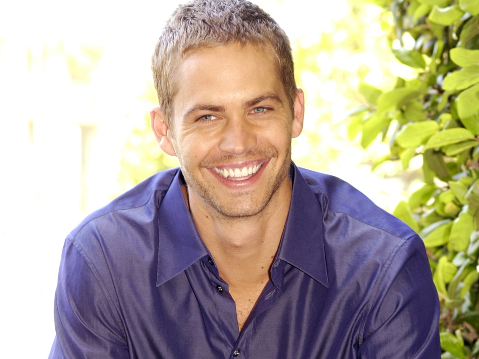 http://1.bp.blogspot.com/-w2DE1Z9_CDs/T502uNHgPcI/AAAAAAAAckg/WKDMmFzfXLI/s1600/Paul-Walker-1-1600.jpg